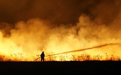 How can Ace Business assist fire affected businesses and volunteer firefighters
