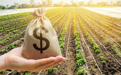 Case Study – How we saved a client $2000 in land tax
